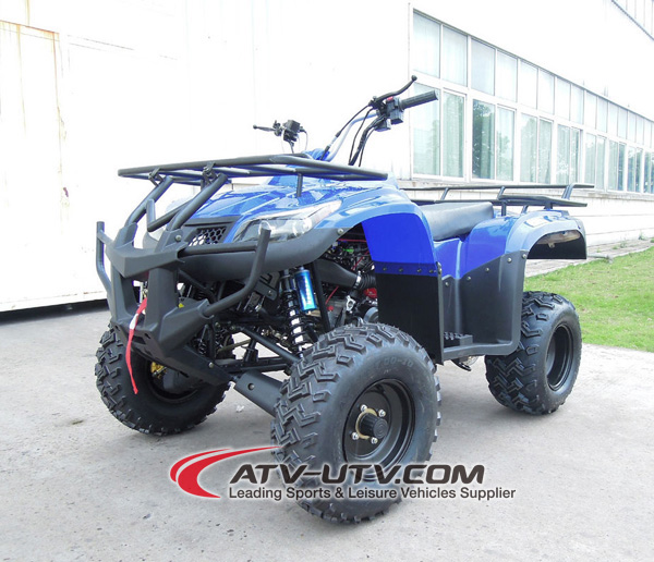 2x4 250cc Utility ATV CDI With Electric Start For Forest Road